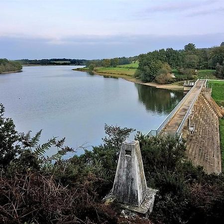 Charmant Appartement Entre Vitre Et Fougeres Chatillon-en-Vendelais Экстерьер фото